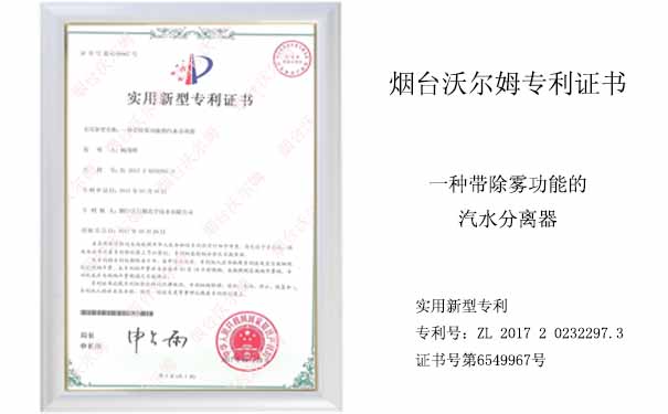 沃爾姆專(zhuān)利證書(shū)：一種帶除霧功能的汽水分離器