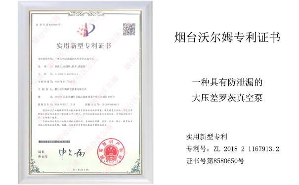 沃爾姆專利證書(shū)：一種具有防泄漏的大壓差羅茨真空泵